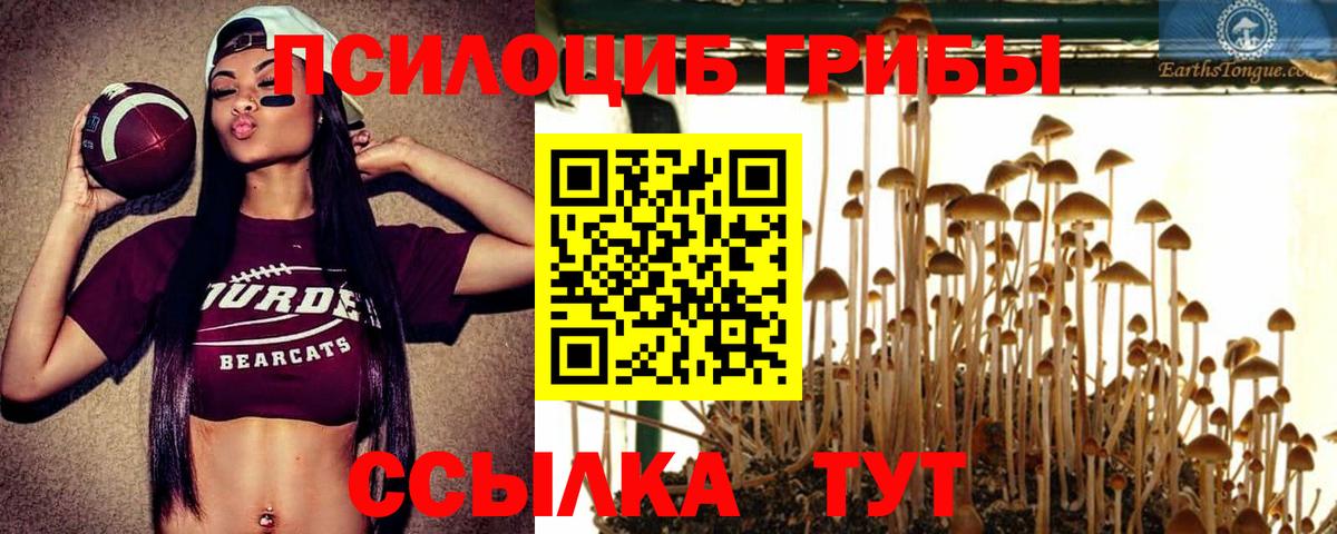 Иваново  Псилоцибиновые грибы MAGIC MUSHROOMS  Вход с VPN  Псилоцибиновые грибы Magic Shrooms 
